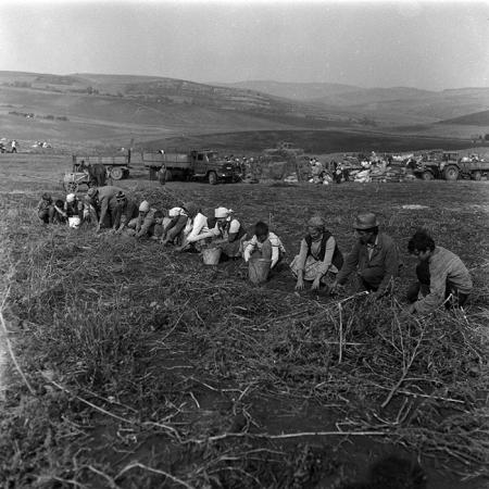 minerva_Agrar_c1_c9r3_012