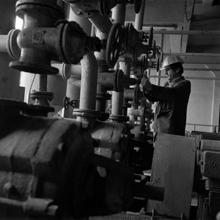 minerva_Agrar_c1_c9r4_005