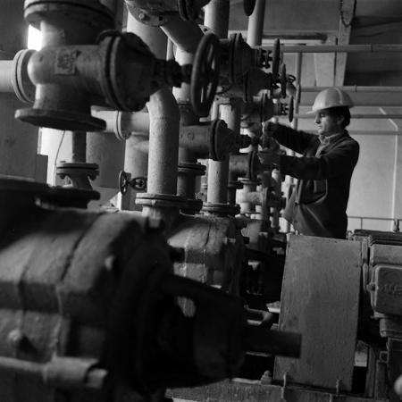 minerva_Agrar_c1_c9r4_006