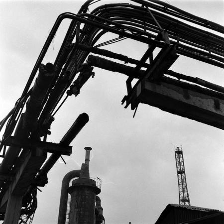 minerva_Agrar_c1_c9r4_008