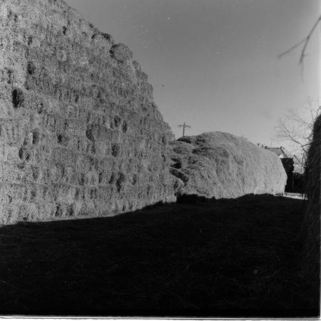 minerva_Constructii_c1r2_001