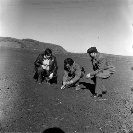 minerva_Constructii_c1r2_008