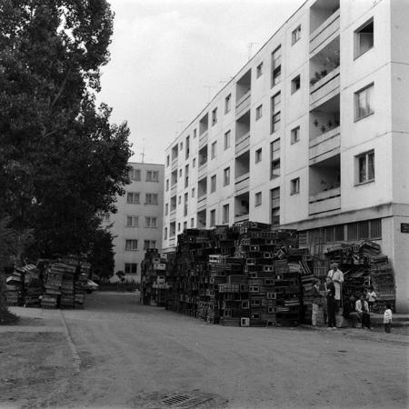 minerva_Constructii_c1r4_006