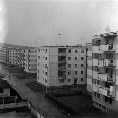 neidentificat|nem azonosított|not identified