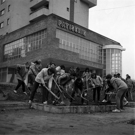 minerva_Constructii_c2r2_004