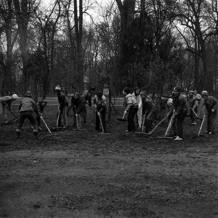 minerva_Constructii_c2r2_006