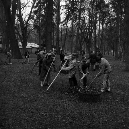 minerva_Constructii_c2r2_008