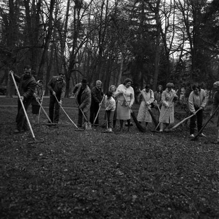 minerva_Constructii_c2r2_009