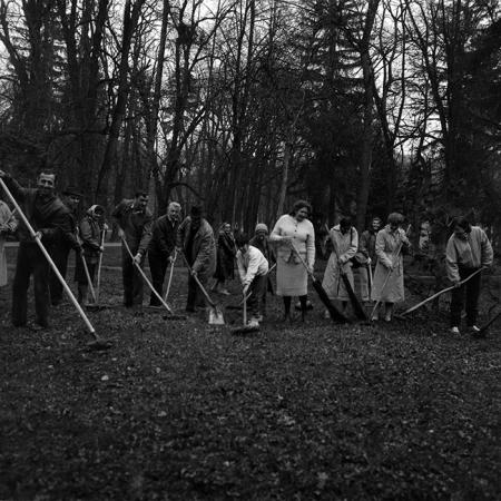 minerva_Constructii_c2r2_010