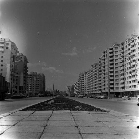 minerva_Constructii_c3r5_006