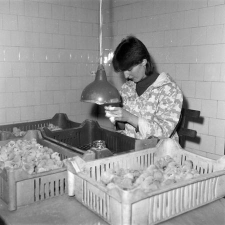 minerva_Constructii_c5r4_006