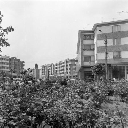 minerva_Constructii_c6r3_003