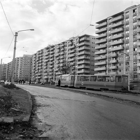 minerva_Constructii_c6r5_015