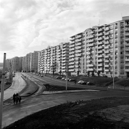 minerva_Constructii_c6r5_020