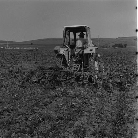 minerva_agricultura_1_c10r5_008