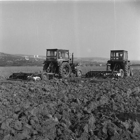 minerva_agricultura_1_c2r1_006