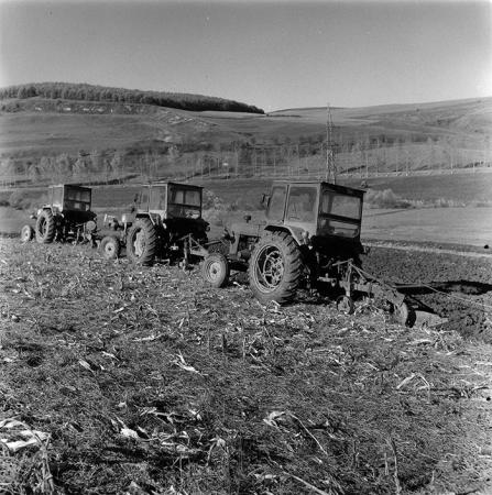 minerva_agricultura_1_c2r4_004