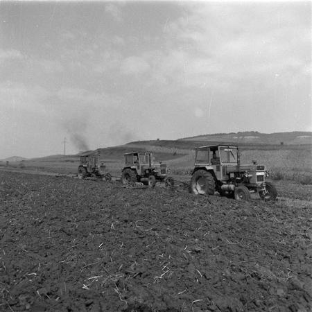 minerva_agricultura_1_c3r1_021