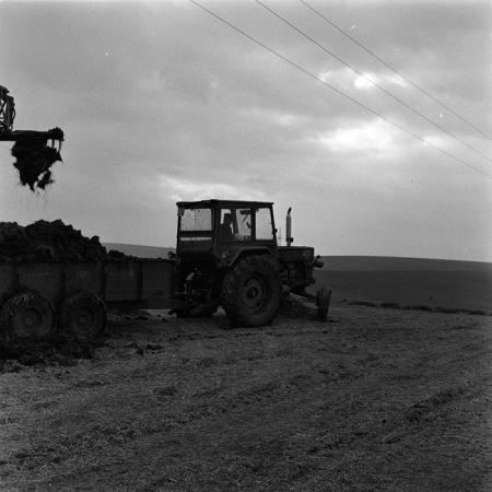 minerva_agricultura_1_c3r2_010