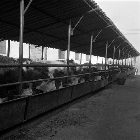 minerva_agricultura_1_c3r5_009