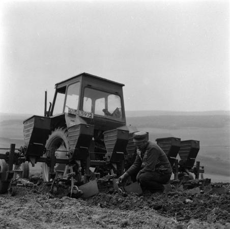 minerva_agricultura_1_c4r5_001