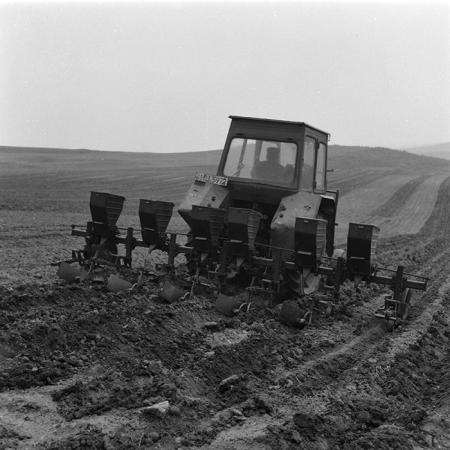 minerva_agricultura_1_c4r5_004