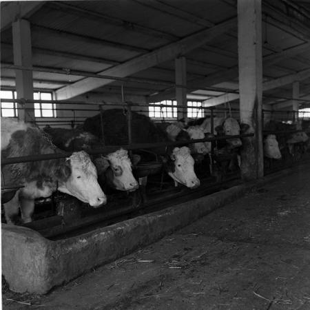 minerva_agricultura_1_c5r3_002