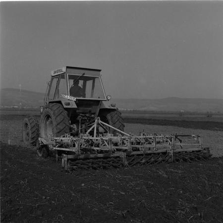 minerva_agricultura_1_c5r4_002