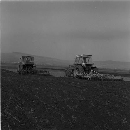 minerva_agricultura_1_c5r4_004