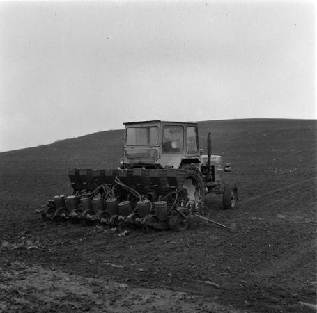 minerva_agricultura_1_c5r5_007