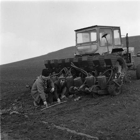 minerva_agricultura_1_c5r5_010