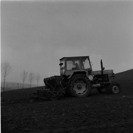 minerva_agricultura_1_c5r5_011