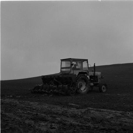 minerva_agricultura_1_c5r5_013