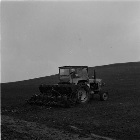 minerva_agricultura_1_c5r5_014