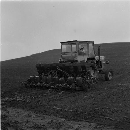 minerva_agricultura_1_c5r5_015