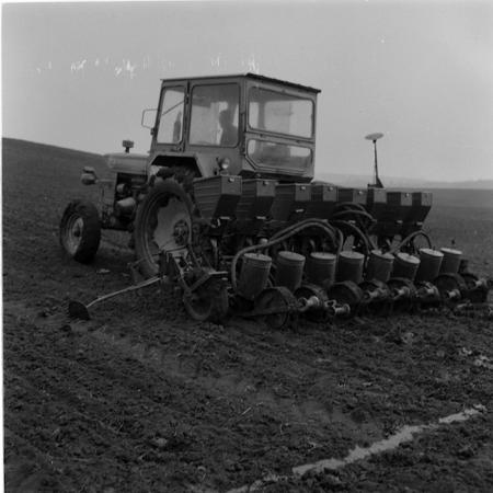 minerva_agricultura_1_c5r5_017