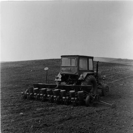 minerva_agricultura_1_c5r5_023