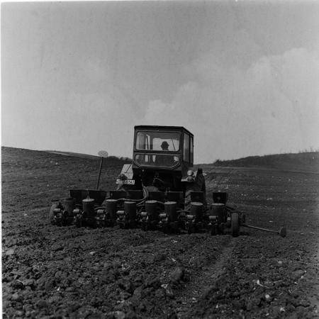 minerva_agricultura_1_c5r5_024