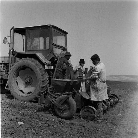 minerva_agricultura_1_c5r5_026