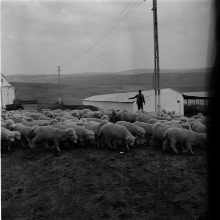 minerva_agricultura_1_c6r3_003