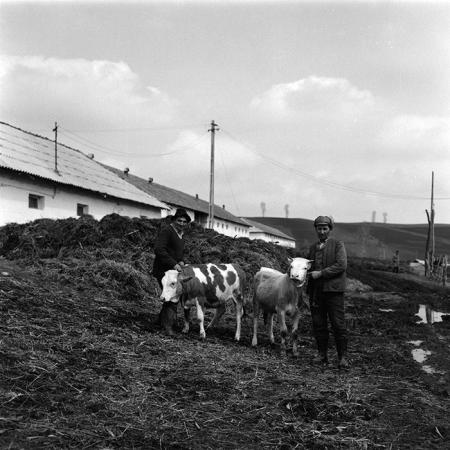 minerva_agricultura_1_c6r5_005