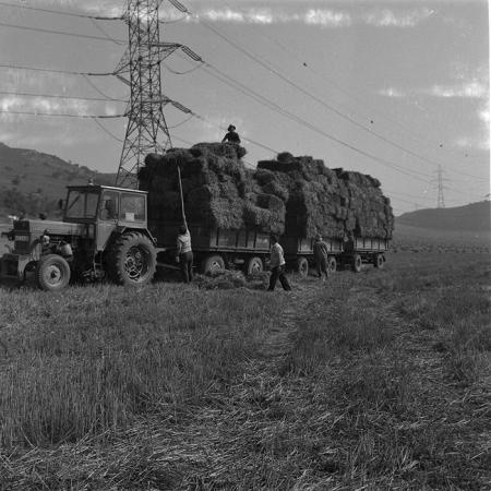 minerva_agricultura_1_c9r1_009