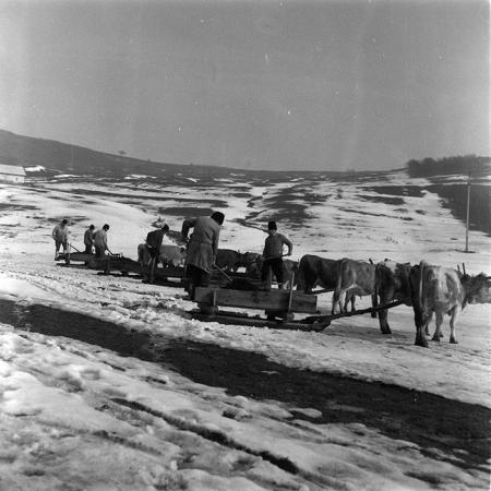 minerva_agricultura_1_c9r2_003