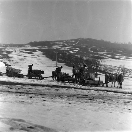 minerva_agricultura_1_c9r2_007