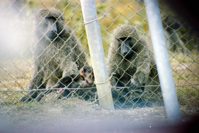 minerva_deak_f_C4_s2_127_great_adventure_boston_014