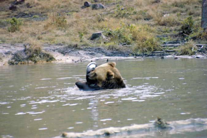 minerva_deak_f_C4_s2_127_great_adventure_boston_027