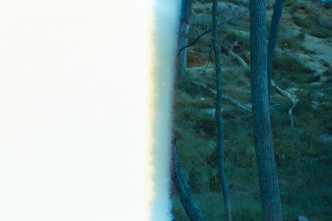 minerva_deak_f_C4_s2_127_great_adventure_boston_036