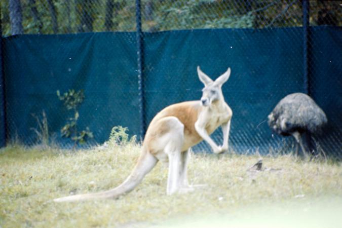 minerva_deak_f_C4_s2_127_great_adventure_boston_040