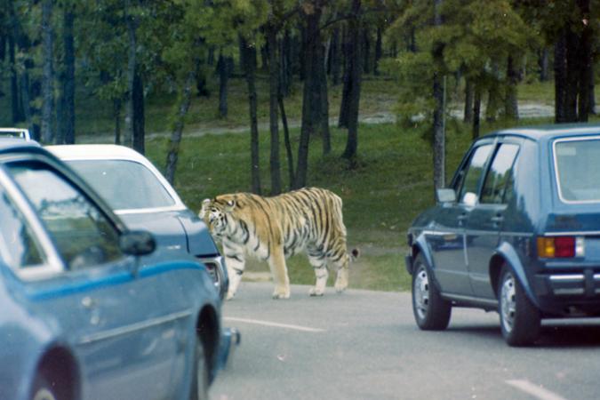 minerva_deak_f_C4_s2_127_great_adventure_boston_041