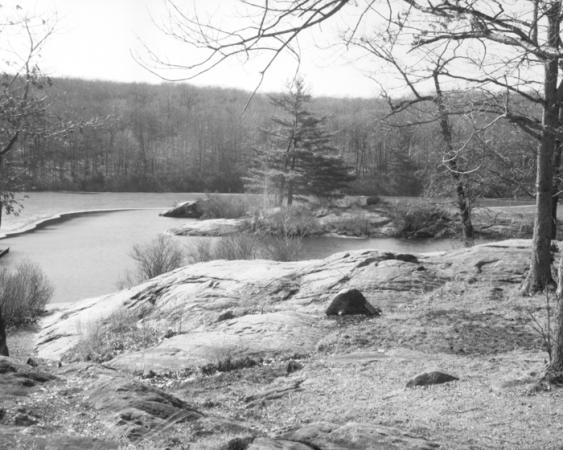 minerva_deak_f_c12_593_001